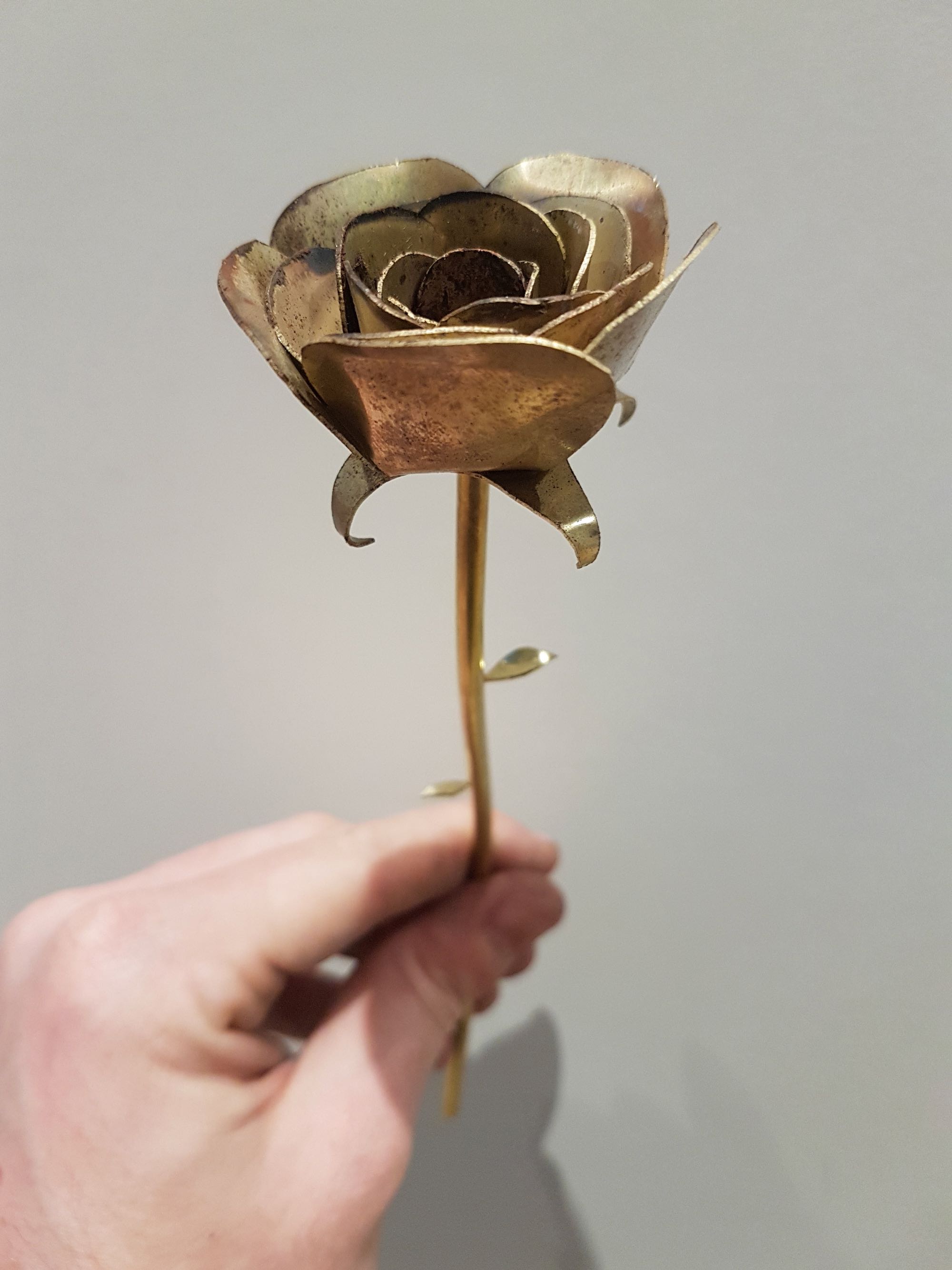 Messingrose