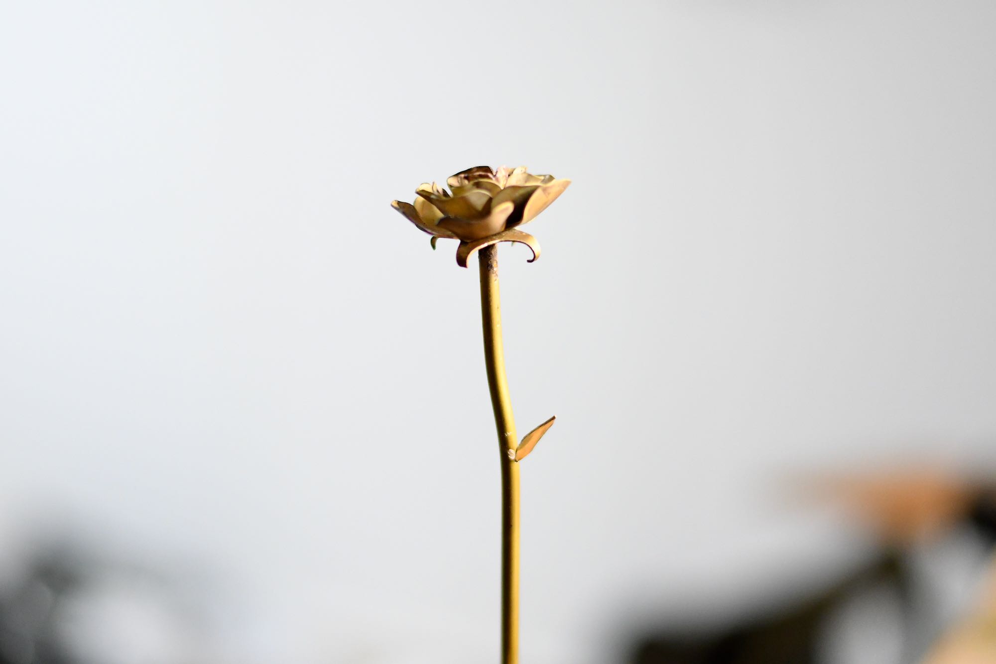 Messingrose Nr. 2